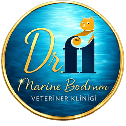 Dr.Fi Marine Bodrum Veteriner Kliniği logo