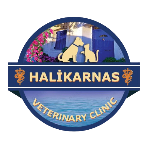 Yalıkavak Halikarnas Veteriner Kliniği logo