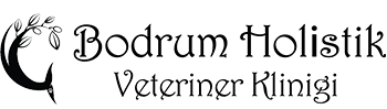 Bodrum Holistik Veteriner Kliniği logo