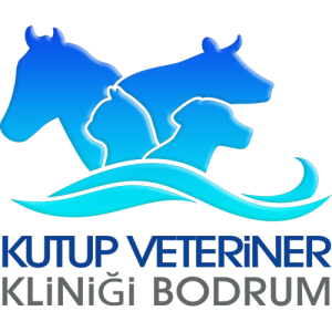 Kutup Veteriner Kliniği Bodrum logo